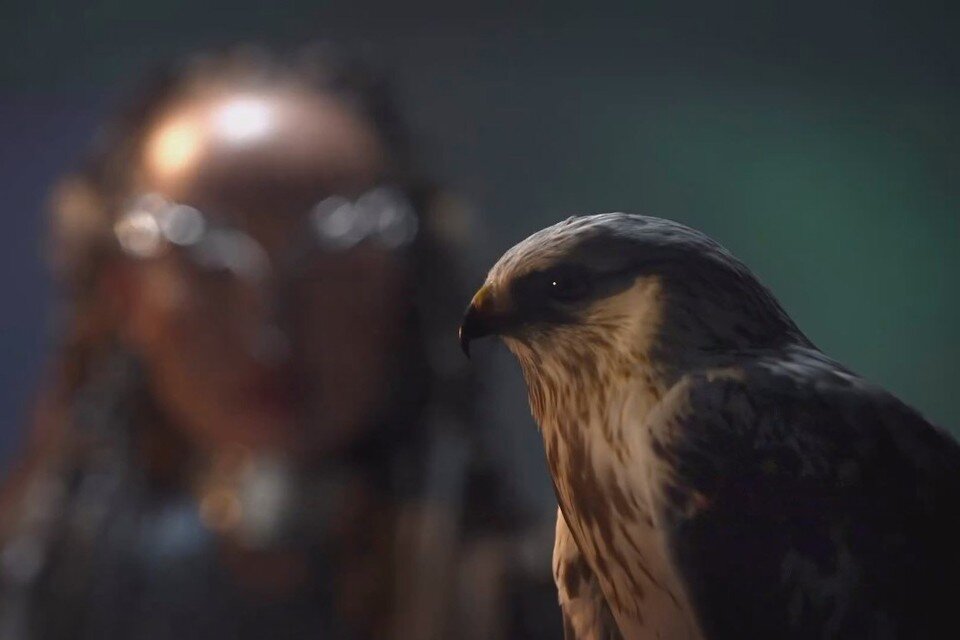     Фото: скриншот клипа