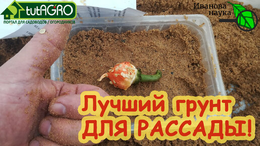 ЛУЧШИЙ ГРУНТ ДЛЯ РАССАДЫ! Без мух, грибков, черной ножки, рыхлый и с ...