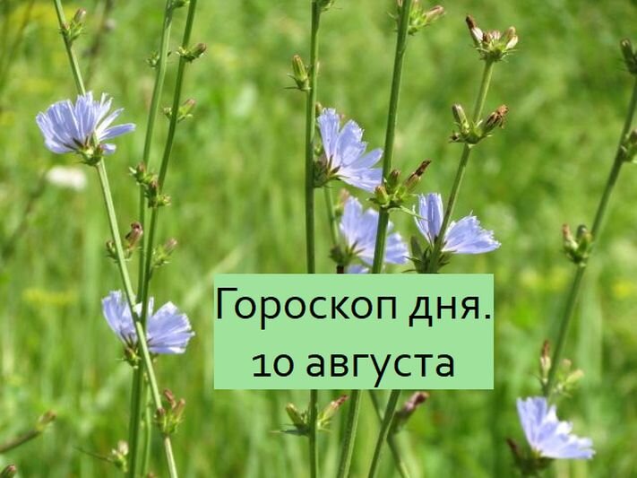 гороскоп дня 10 августа