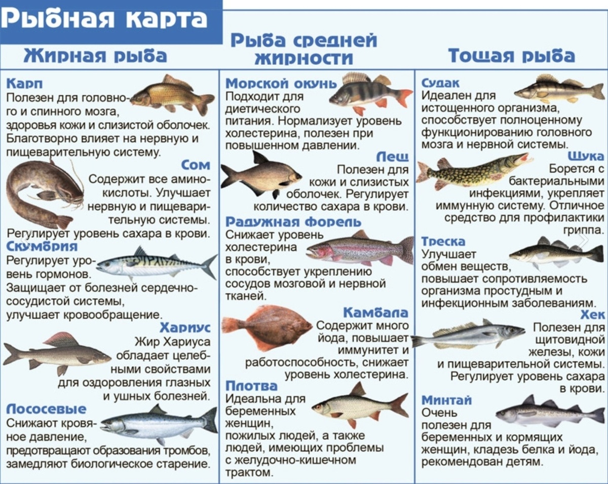 Самые свежие рецепты для Вас!