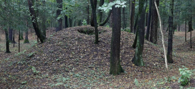 Похожее фото, взятое из интернета. Сами бугры были значительно больше. 