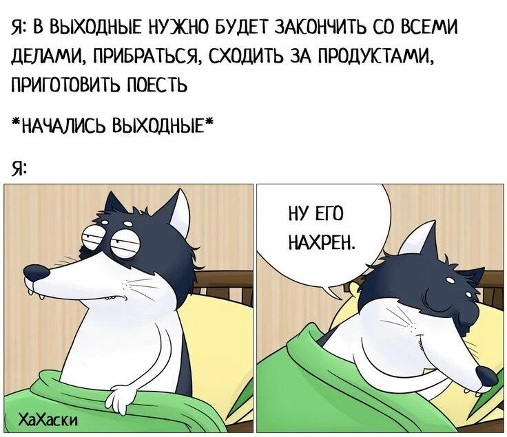 картинка из интернета