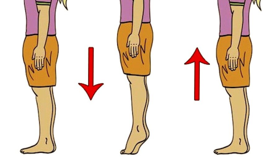 Рисунок схемы упражнения Микулина из книги "Активное долголетие"