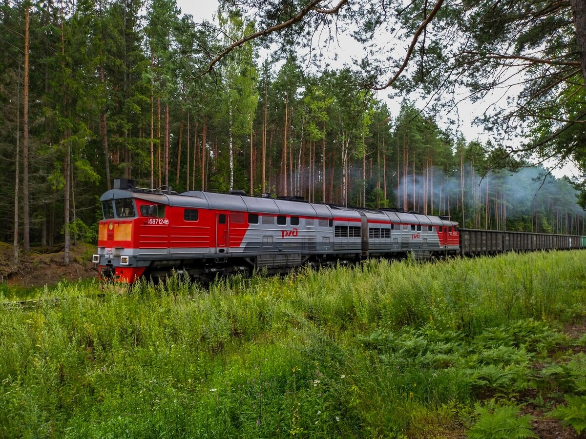 Савелово белый городок