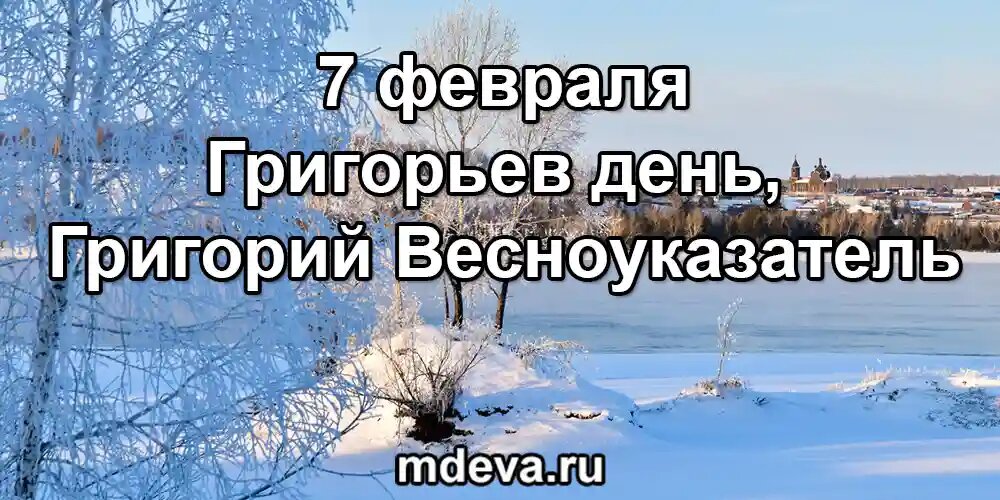 7 февраля по народному календарю Григорьев день, Григорий Весноуказатель