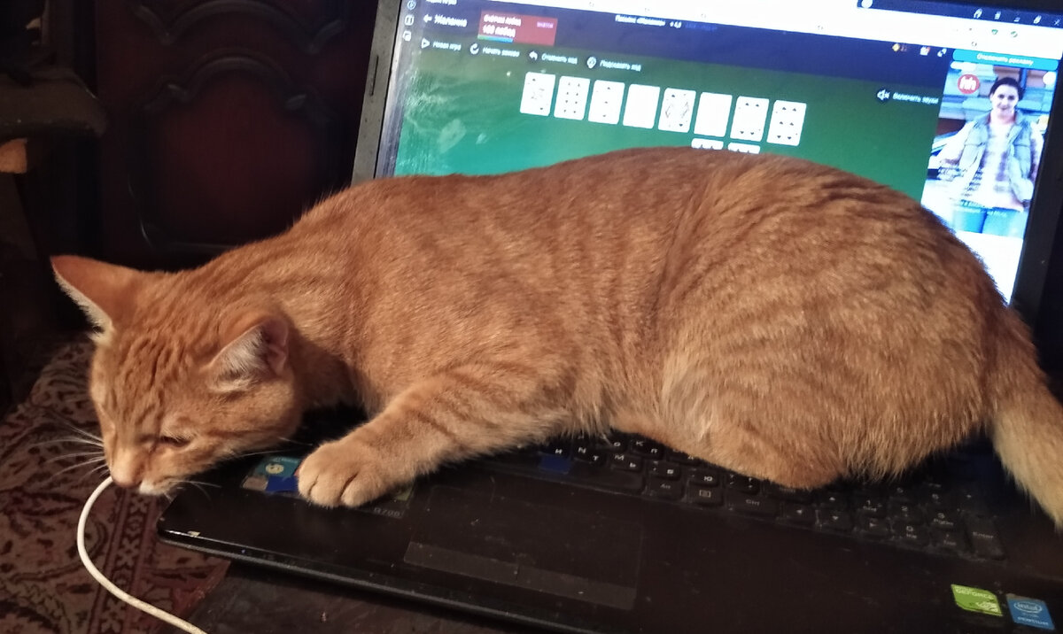 Личное  фото