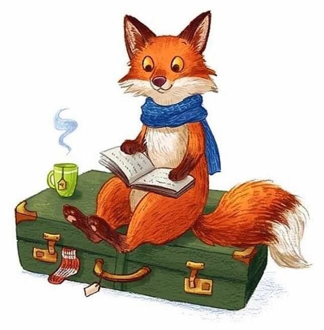 Fox books. Книги про Лис. Лиса с чемоданом. Книга про Лисенка. Лисенок с чемоданом.