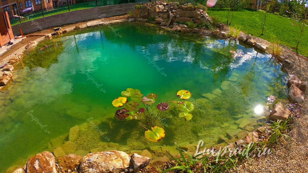 Плавательный пруд с рыбой в Аксаково