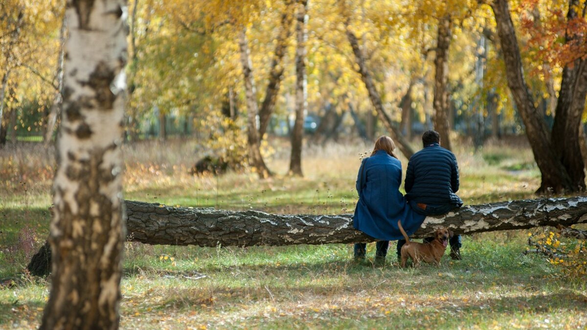     Сегодня, 22 сентября, ожидаются кратковременные дожди и грозы в Приморье. Средняя температура воздуха по краю составит +19…+25°C.