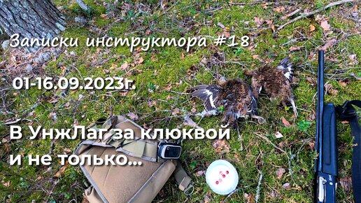 Записки инструктора #18. Сезон 2023г. В УнжЛаг за клюквой. 16 дней в тайге.