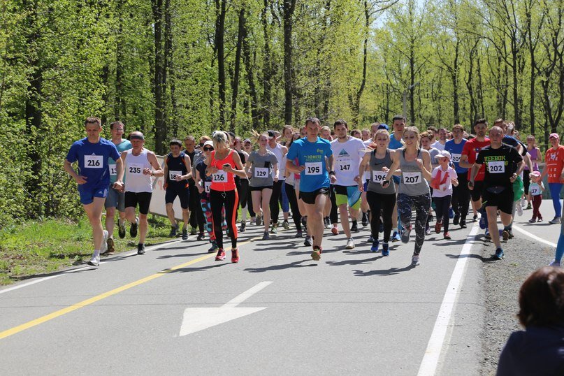 Добавьте описание