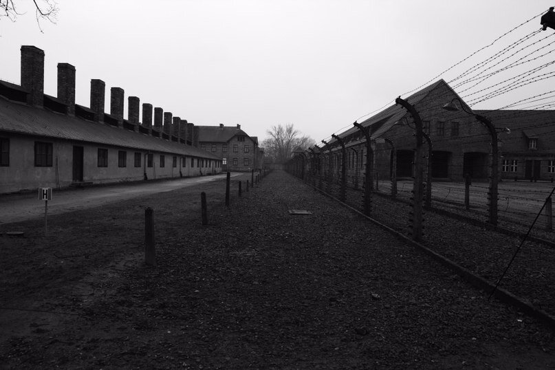 Лагерь аушвиц-биркенау. 27 января 1945 освобождение узников концлагеря освенцим. Концентрационный лагерь и лагерь смерти аушвиц-биркенау. Почему освенцим. Освенцим концлагерь 1940-1945.