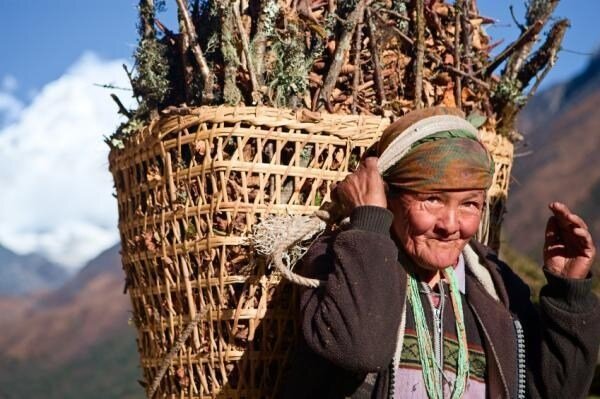 2 рецепта чесночной настойки в домашних условиях