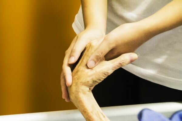 Фото: pixabay, CCО 1.0