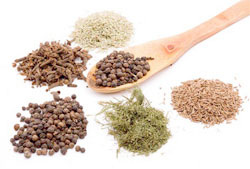 На деятельность сексуальных органов могут влиять стрессы или большая загруженность на работе, нездоровое питание. Бывает также, что на сексуальность мужчины не лучшим образом влияет его сидячий или лежачий образ жизни. Излишняя усталость и перенапряжение, вялость и полное отсутствие физических нагрузок негативно сказываются на сексуальности в целом и на быстром семяизвержении. 