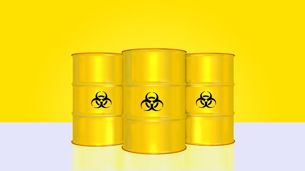 В недрах Арктики добываются ценные полезные ископаемые: нефть, газ, уголь, золото, алмазы, никель, вольфрам, уран, молибден, палладий и др. 
Арктика богата биологическими ресурсами: северный олень, промысловая рыба, морепродукты, морские животные, птицы, морские водоросли.

Арктика обладает неисчерпаемыми энергетическими ресурсами (возобновляемыми источниками энергии), к которым относятся приливы и отливы, сильные ветры, низкопотенциальное тепло верхних слоев Земли.

Запасы пресной воды в Арктике составляют до пятой части общемировых.

Вместе с тем, перечисленные природные богатства, кроме возобновляемых источников энергии, не всегда доступны для использования или не пригодны для потребления. Причина – радиоактивное загрязнение Арктики, охватившее огромные территории и акватории, а также подземные пространства.