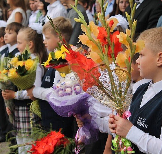 Больше 80 кустов роз распустились у Токарёвской средней школы № 1 | Маяк