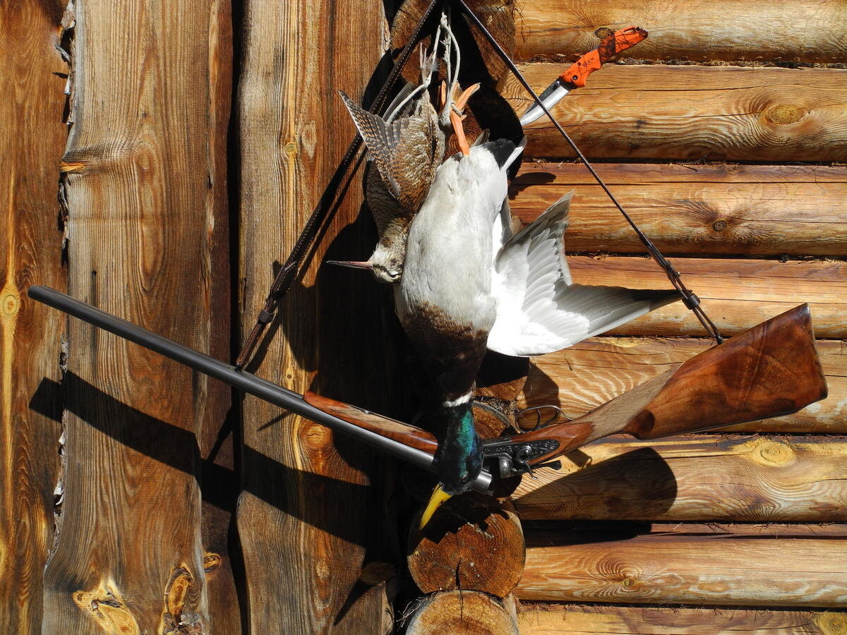 АВТОР СТАТЬИ: ИЛЬЯ ГУРИН