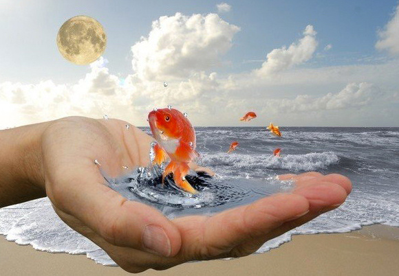 Определимся с желаниями?