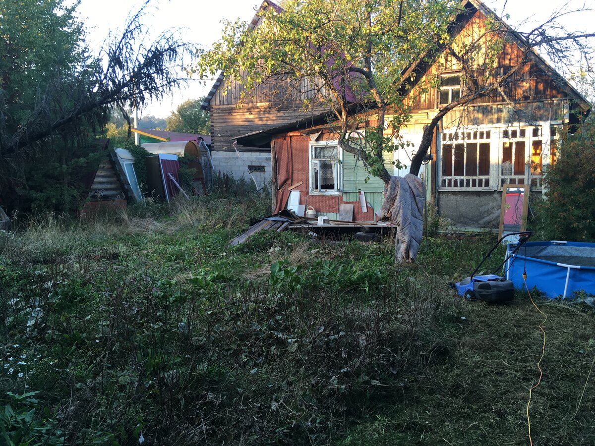 Заброшенный дачный участок