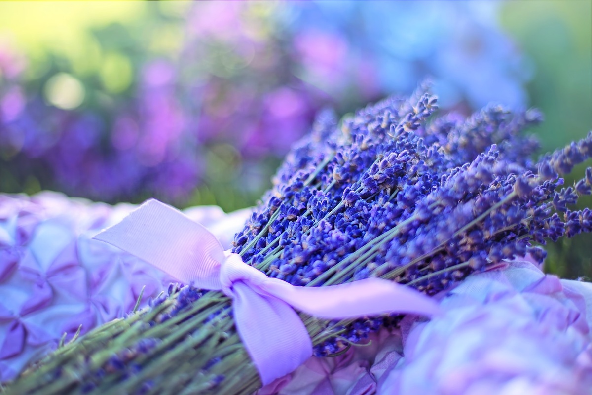 Источник фото: pixabay.com
