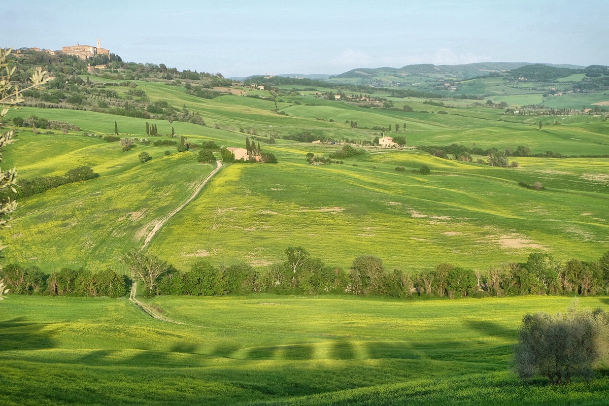 Тоскана. Типичные пейзажи у меня тоже есть, но так необычнее))
