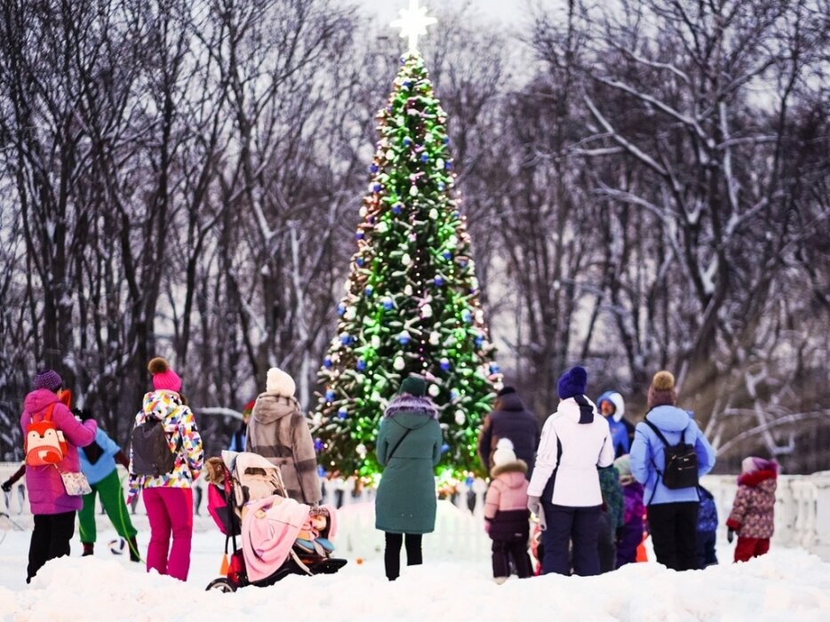 Олимпийский парк адлер аттракционы. Дворец водных видов спорта лужники, москва. Пенза набережная реки пензы. Развлечения для детей в архангельске. Веревочный парк маугли пенза.