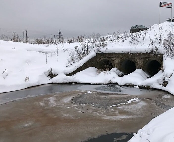 Картинка с сайта https://rg.ru