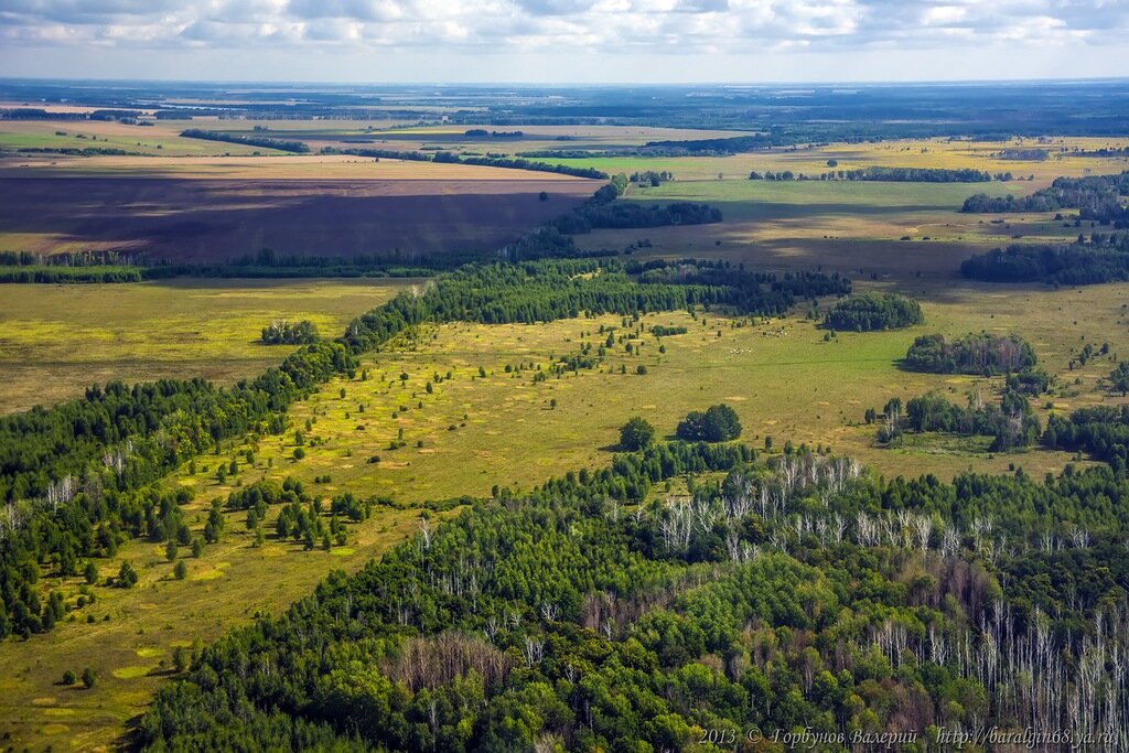 Восточно европейская равнина фото