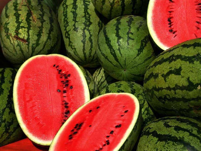 Фото: Steve Evans/Flickr