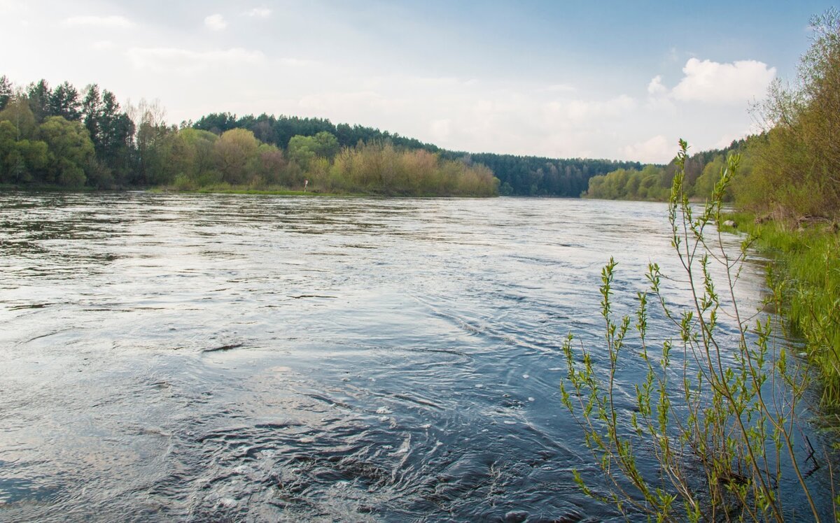 Правила поведения на водоемах – ДТДиМ Вологда