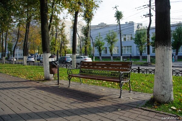 Городской парк просп ленина 21в фото