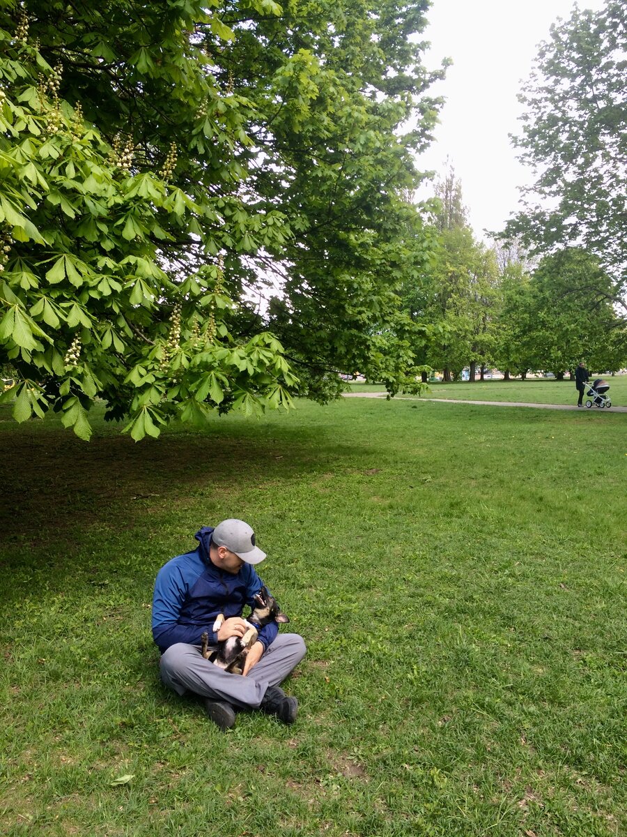 Ну посмотрите на этого довольного пса )