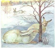 Развитие речи зайцы старшая группа. Меньшикоа п картина зайцы. Картина зайцы Дикие животные п Меньшикова. Картина п. Меньшиковой.зайцы зимой. Зайчик зимой живопись.