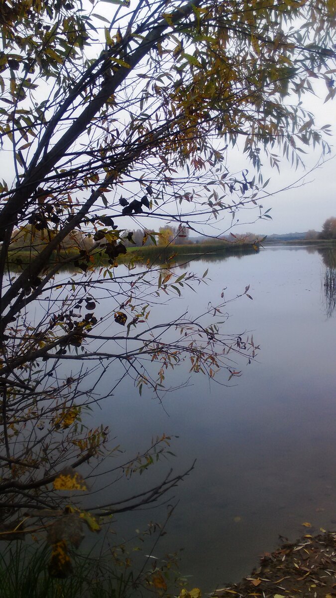 последняя осень