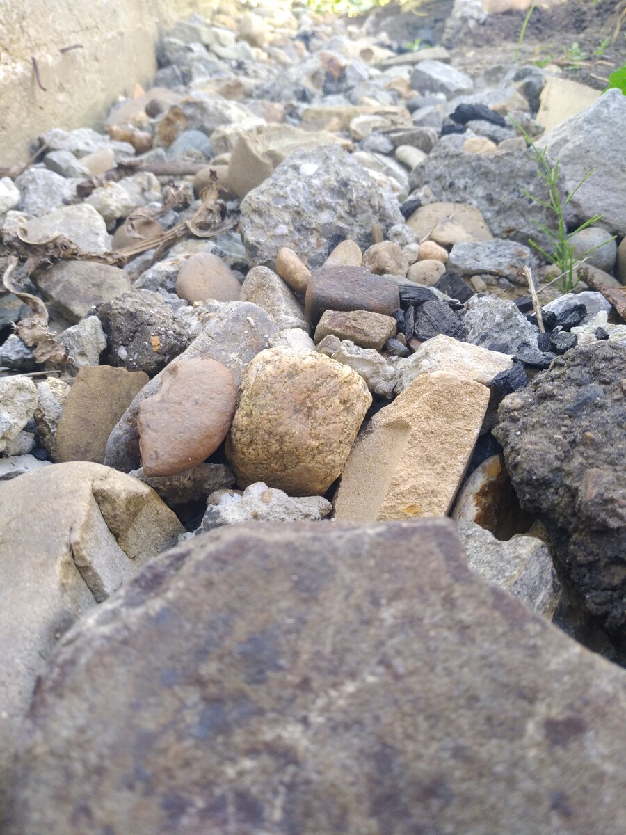 Огороды теперь выглядят так.