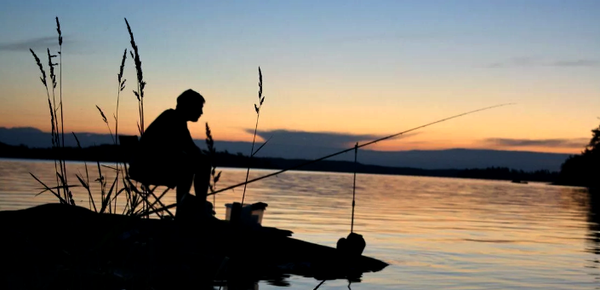 Как и чем будет запрещено ловить рыбу начиная с 1 января 2020 года