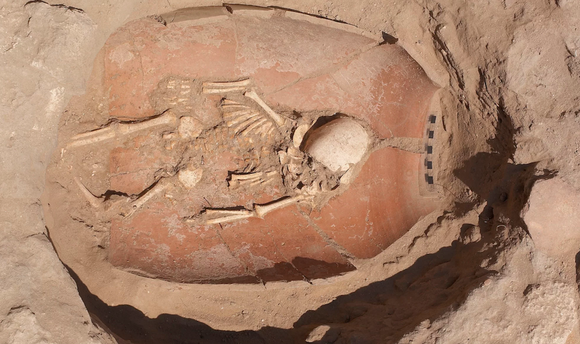 Останки филистимского ребенка. Фото: Мелисса Аха / Леон Леви