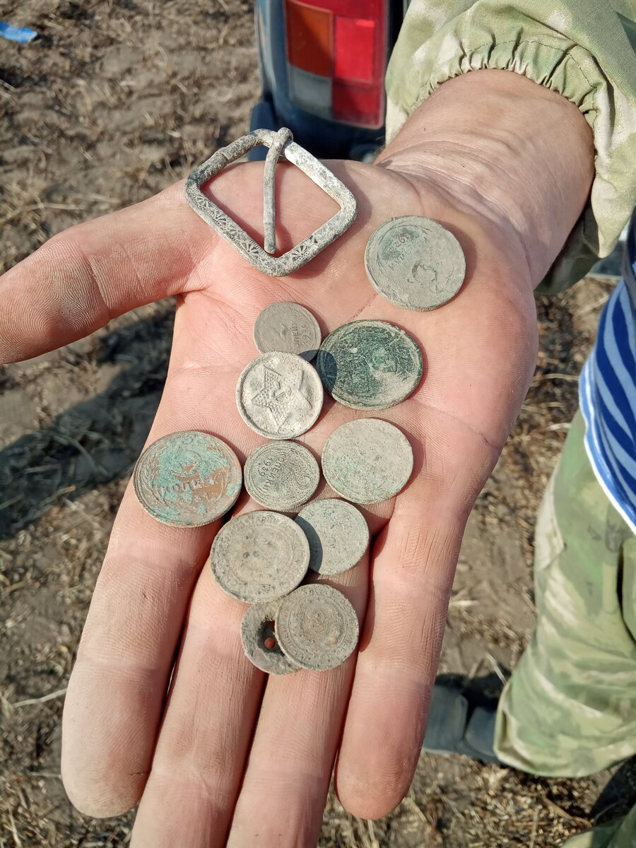 По выбитому полю...