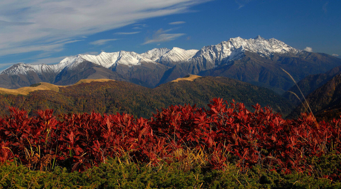 Лаго-Наки. Фото из открытых интернет источников.
