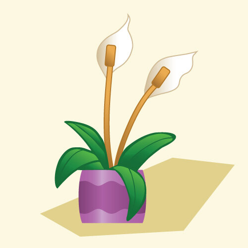 Фото взято с сайта https://www.flyingflowers.co.uk/