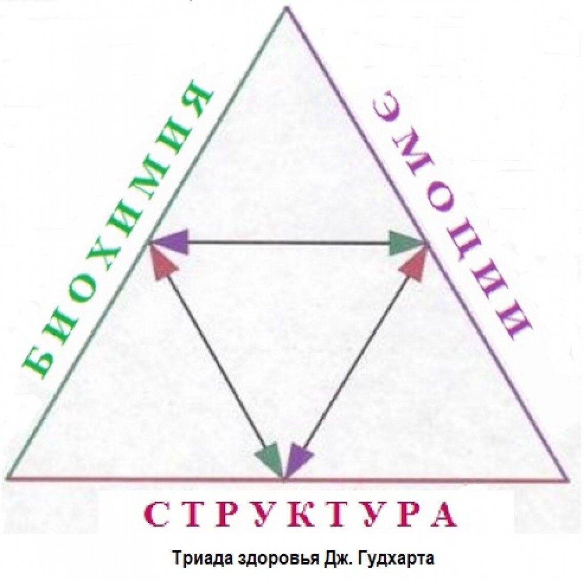 изображения взяты из открытых источников