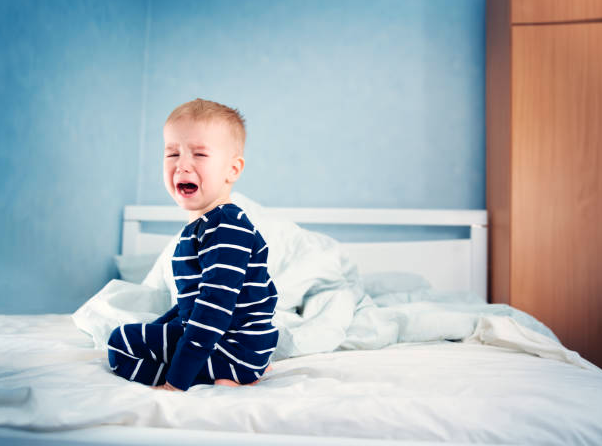 Фото: istockphoto.com