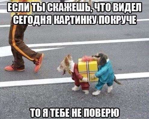 Я тоже вам не поверю лучшая картинка которую я видел