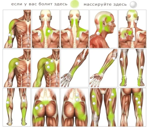 Физические упражнения при простатите и аденоме для лечения и профилактики