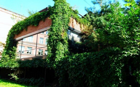 Фото: vk.com/gribi4