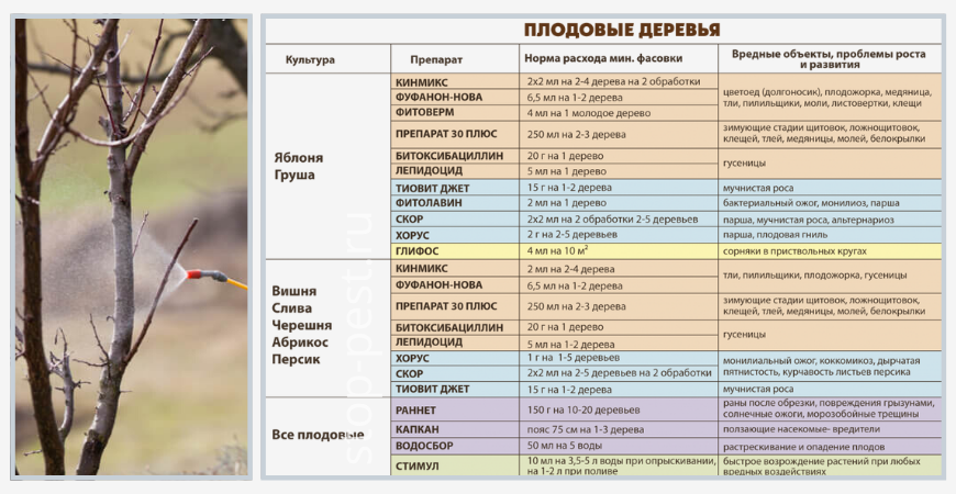 Сроки обработки деревьев от вредителей. Баковая смесь для обработки сада. Журнал весенней обработки плодовых деревьев. Пошаговый план весенней обработки деревьев. Баковая смесь для лиственных деревьев сад.