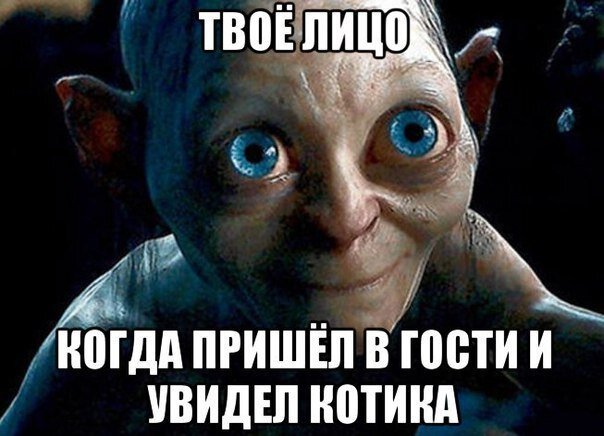 И не ври мне что не любишь котиков