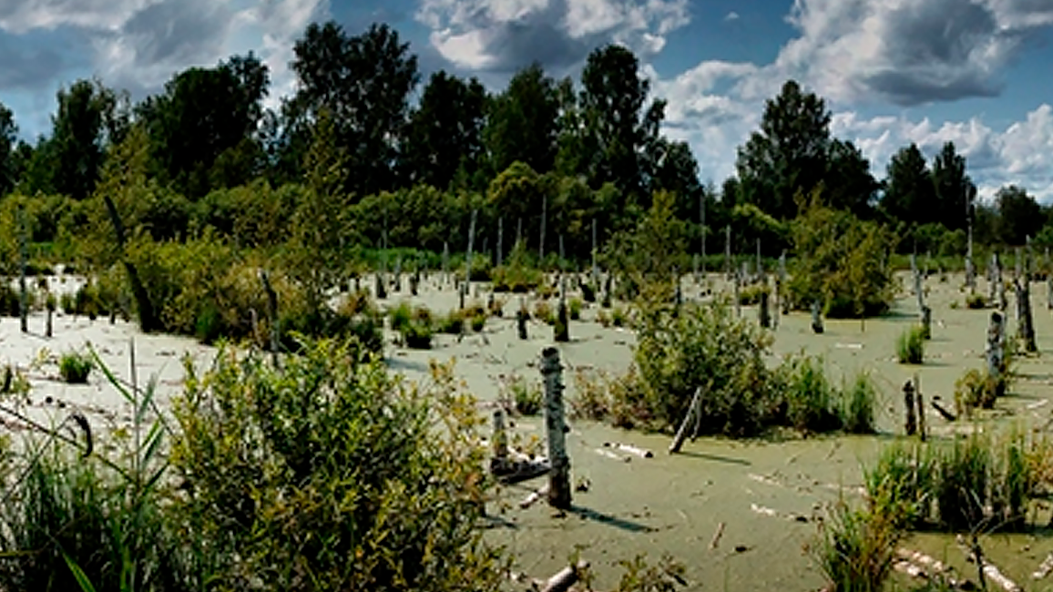 Чёртово болото. Фото из свободных источников.