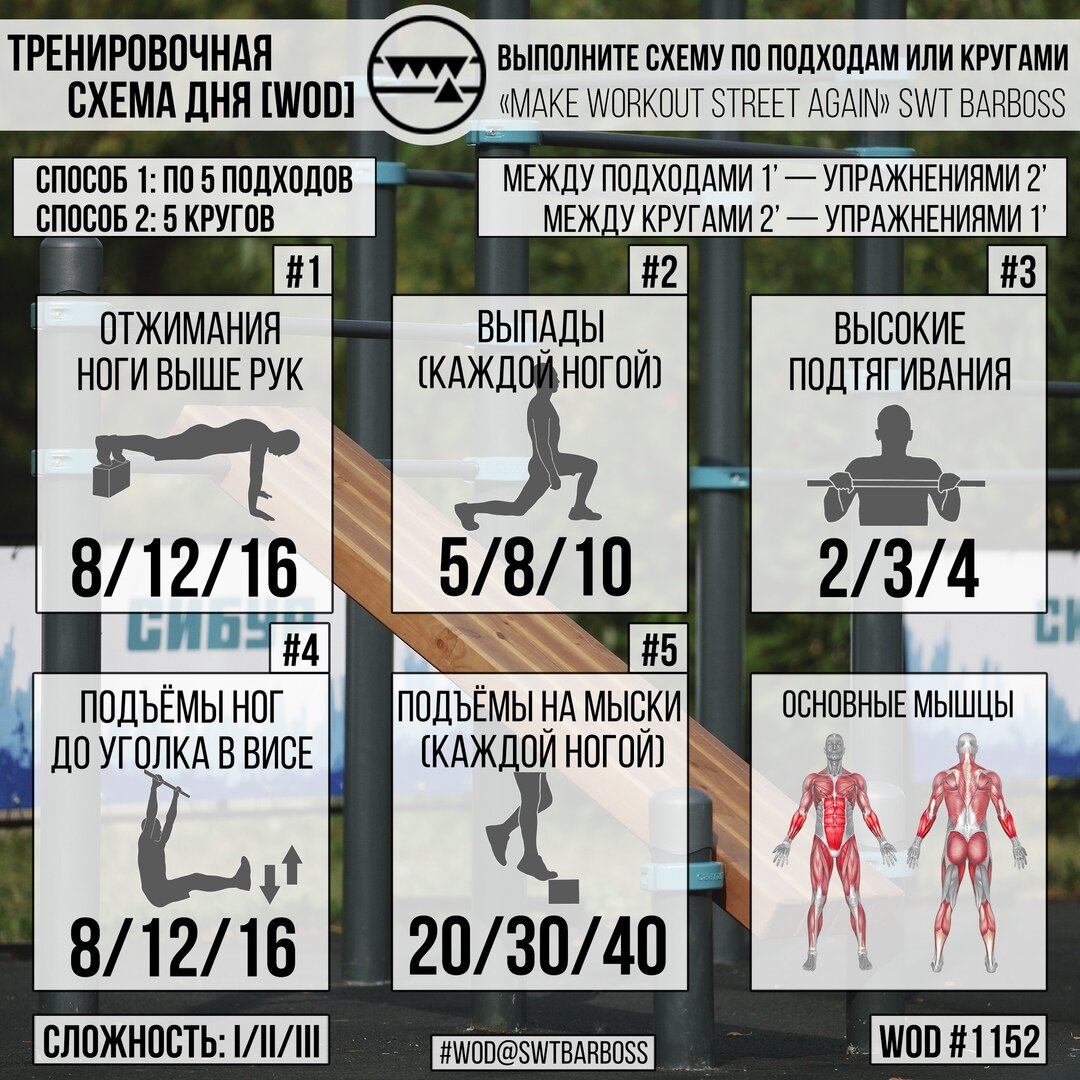 Тренировочная схема дня с использованием веса собственного тела на все группы мышц.